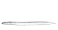 1980s